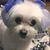 Vickie Enterkin Lemoine's profile image