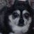 Paulette N Bill Loving's profile image