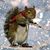 Dolly Goosman's profile image