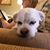 Roy Nance's profile image