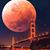 Jose L Arauza's profile image