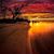 Caroline Gorter's profile image