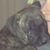 Tracey Everham's profile image