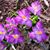 Diann Lyons Clark's profile image