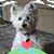 Linda Boyden Maus-Stockle's profile image
