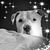 Pamela Sue Hartley's profile image