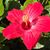 Tammy Marie's profile image