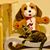 Gail Snow's profile image