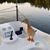 Scott Glabe's profile image