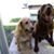 Jerry Mettner's profile image
