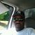 Carlton Dupree's profile image
