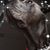 Randy Albrecht's profile image
