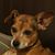 Jean Marie Cressman Locke's profile image