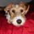 Donna Connolly's profile image
