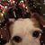 Kathryn Felter's profile image