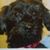Jeanne Fougere Bidlack's profile image