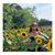 Ashlee-Marie Hart's profile image