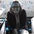Becky Baldwin's profile image