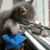 Patricia Pullen's profile image