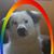 Nellie Flippo's profile image