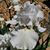 Nancy Jane Henderson's profile image