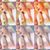 Sydney Schoch's profile image