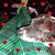 Pam Green's profile image