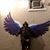Lydia Fern Mehrer Hostetler's profile image