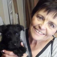 Linda Hopkin Mulkins's profile image