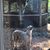 Janet Brinkley Scott's profile image