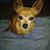 Angela Tate's profile image