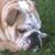 Lori DeWitt Hecker's profile image