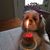 Heidi Carola A. Ols's profile image