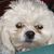 Sandra J. Ream-Albert's profile image