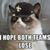 Susan Holcomb Lynch's profile image