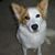 Debbie Findley's profile image