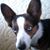 Bev Boyd's profile image