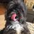 Barbara Krause Kennedy's profile image
