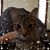 Tina Luzzi's profile image