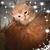 Lisa Tann's profile image