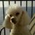 Kim Sanderson's profile image