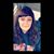 Stacey Reed Wiley's profile image