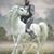 William J. Chaffee's profile image