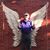 Nancy Fritz's profile image