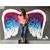Jessica DeVault's profile image