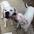 Cynthia Umphrey's profile image