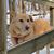 Candace C. Hill's profile image