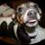 Melinda Woodard's profile image