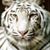 Kathy Johnston's profile image