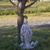 Deborah Mayer's profile image